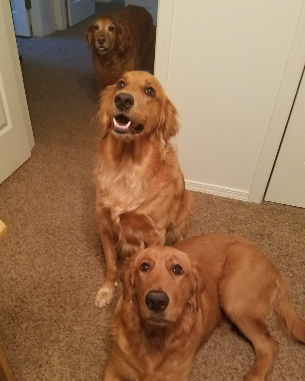 IMG_20190829_080401_930